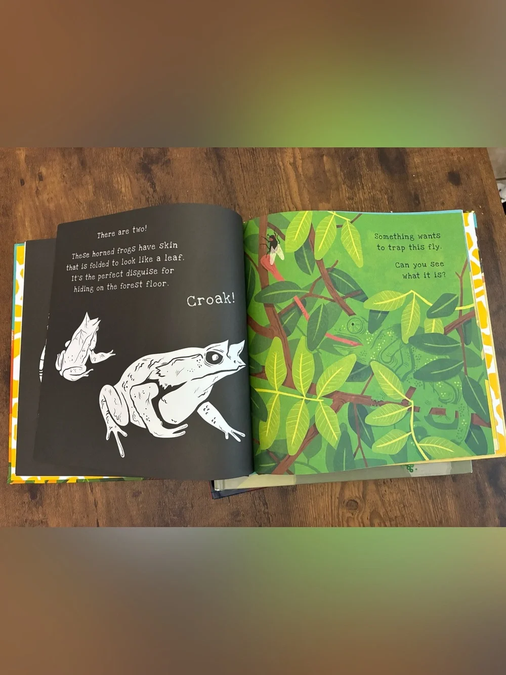 Set of Shine The Light Children’s Books